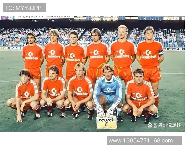 比利时足球队现役及历史球星盘点及其国际赛场表现分析