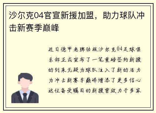 沙尔克04官宣新援加盟，助力球队冲击新赛季巅峰