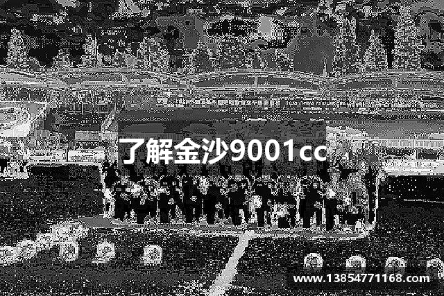 了解金沙9001cc